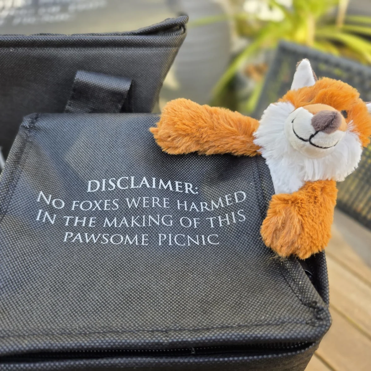 Cool and Foxy Cool Bags Disclaimer